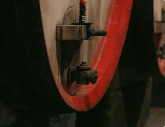 Wein Teaser