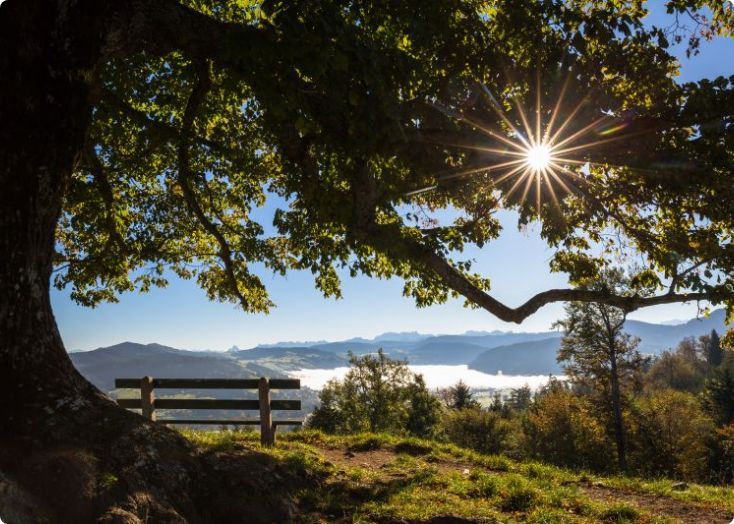Zugersee – Uferpromenade im Sonnenlicht